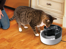 Load image into Gallery viewer, Pioneer Fung Shui Pet Drinking Fountain 1.7Lt
