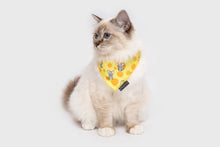 Load image into Gallery viewer, Little Kitty Co. CAT BANDANA
