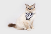 Load image into Gallery viewer, Little Kitty Co. CAT BANDANA
