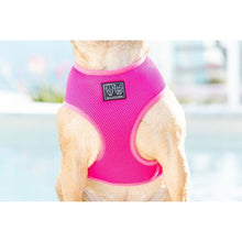 Load image into Gallery viewer, Big &amp; Little Dogs Classic Harness
