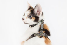 Load image into Gallery viewer, Little Kitty Co. CAT STRAP HARNESS
