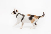 Load image into Gallery viewer, Little Kitty Co. CAT STRAP HARNESS
