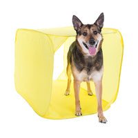 ZipZoom Agility Kit Indoor by Outward Hound