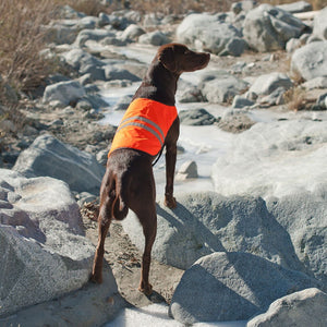 Zippy Paws Adventure Gear Cooling Safety Vest