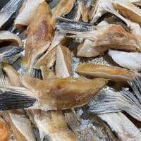 Freeze Dried Raw Australian Salmon Bellies 60g/140g
